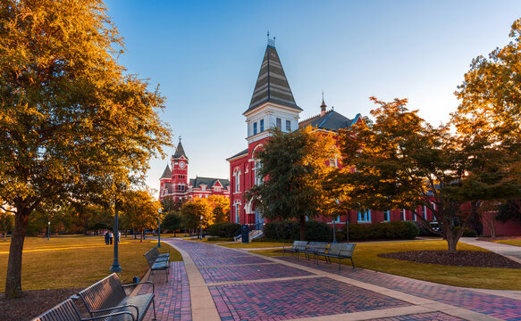 Auburn